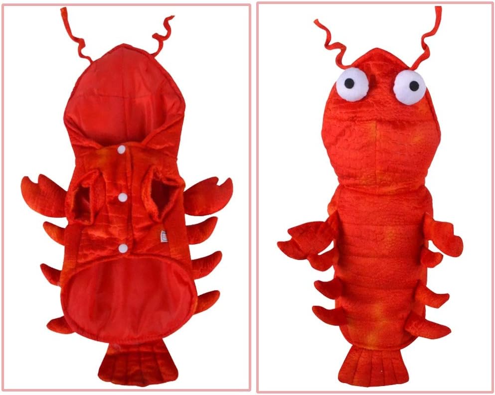 Dog Lobster Costume for Halloween & Theme Parties