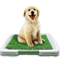 Indoor/Outdoor Artificial Grass Pet Potty Training Mat