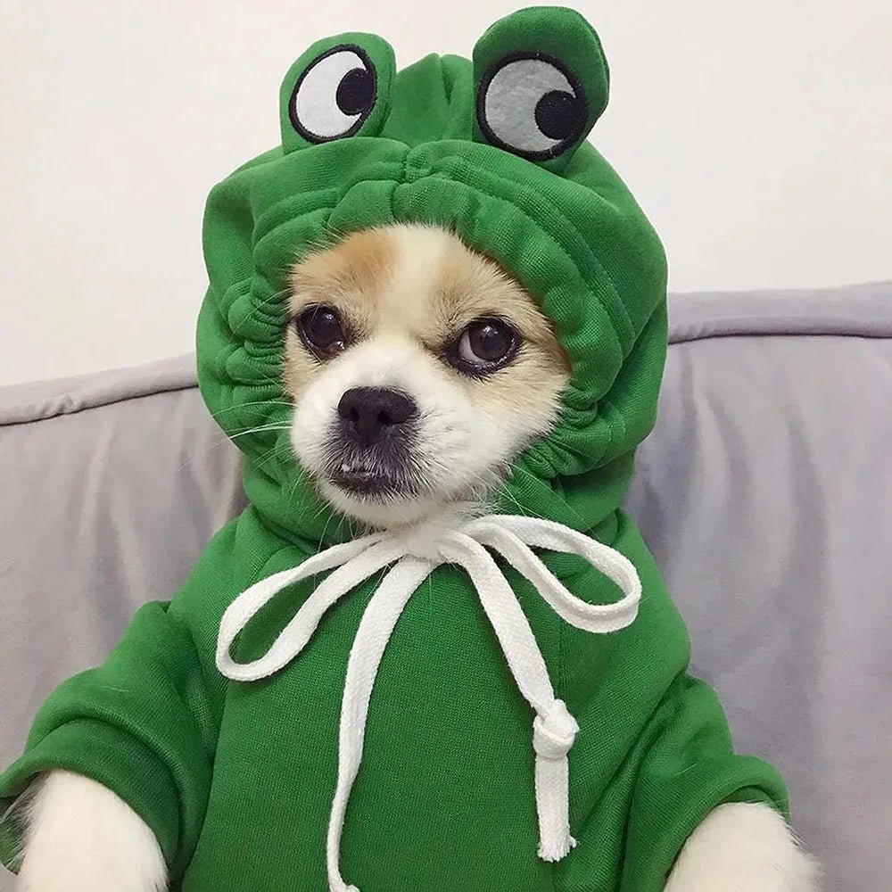 Unisex Pet Frog Fleece Hoodie for Dogs & Cats
