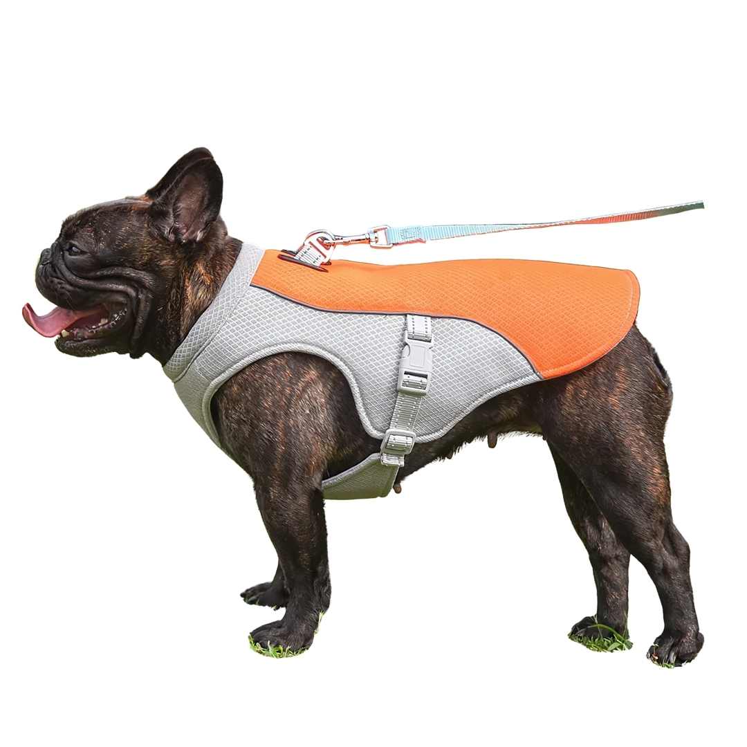 Dog Cooling Vest for Summer Heat Protection - Stay Cool