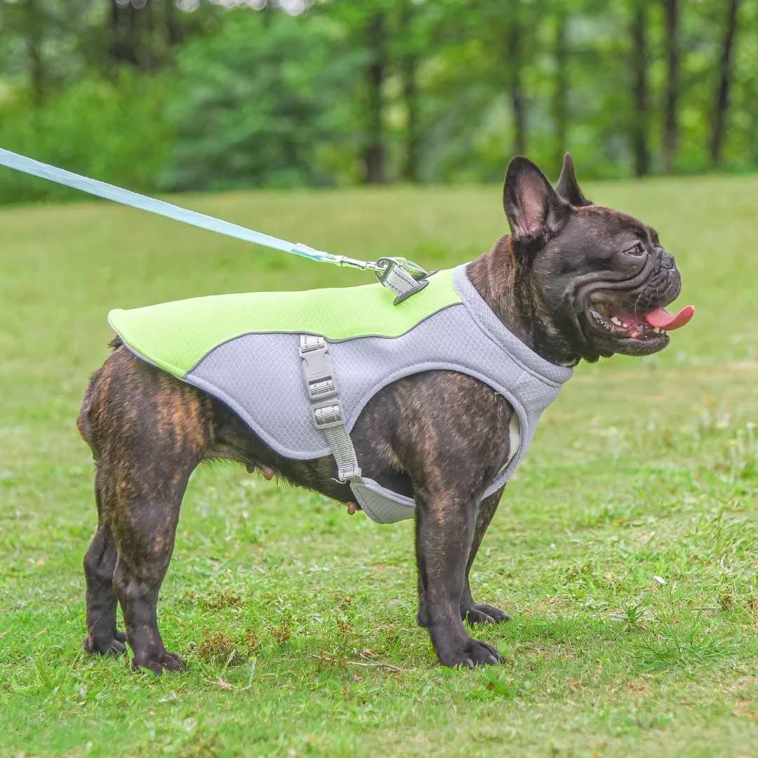 Dog Cooling Vest for Summer Heat Protection - Stay Cool