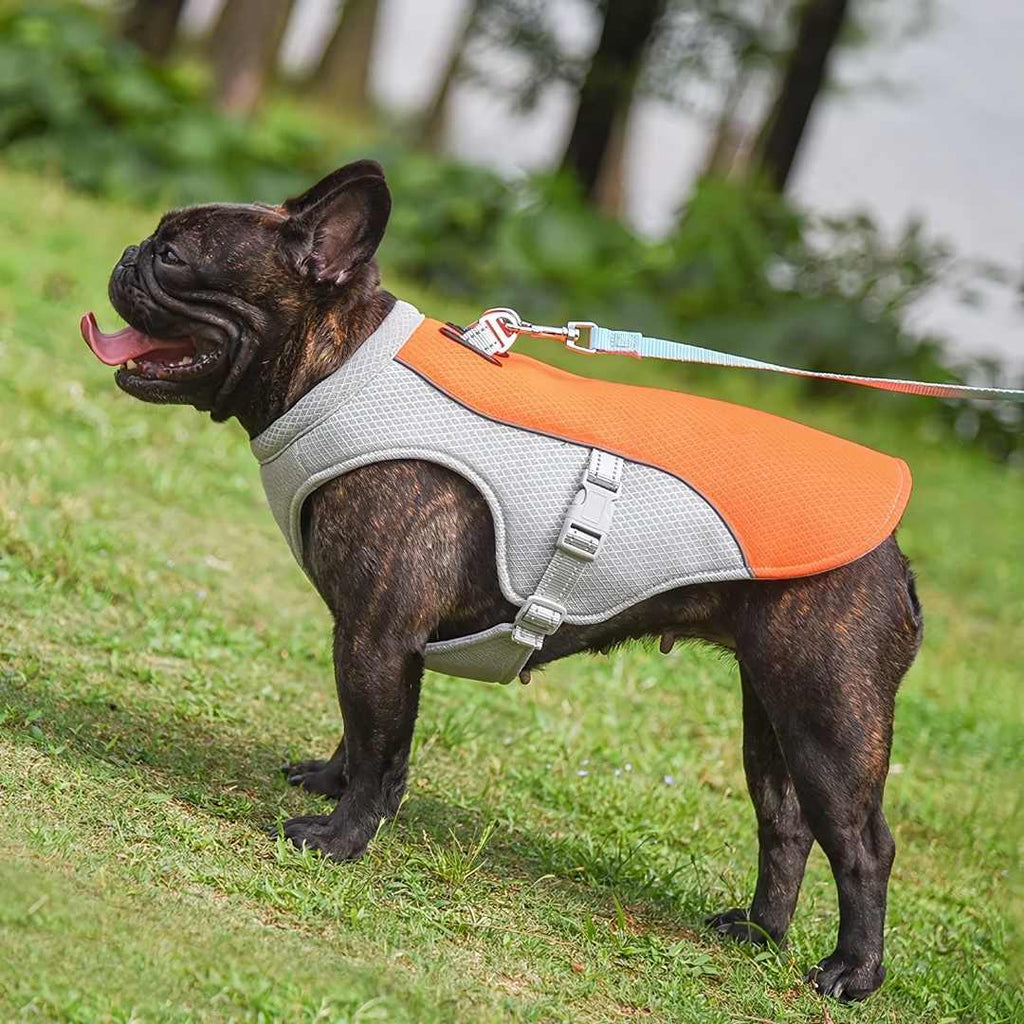 Dog Cooling Vest for Summer Heat Protection - Stay Cool