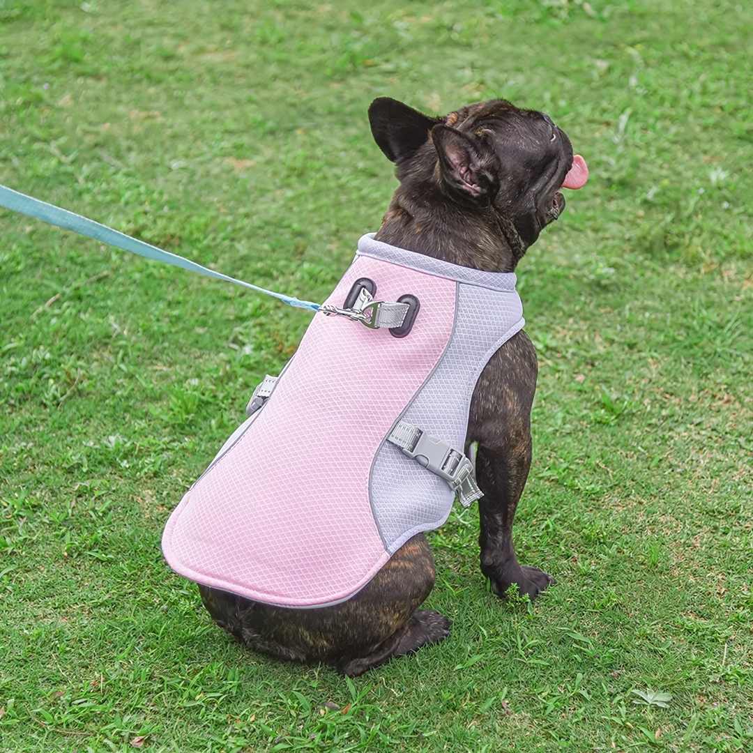 Dog Cooling Vest for Summer Heat Protection - Stay Cool