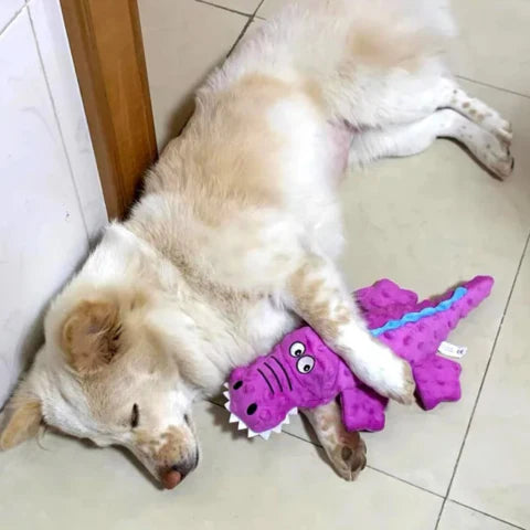 Durable Crocodile Plush Squeaky Toy for Aggressive Chewers