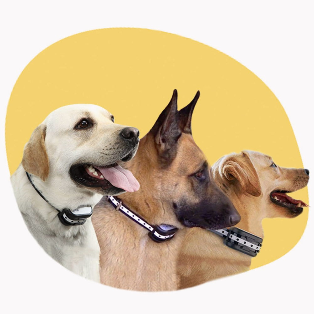 Durable Dog Paw Protectors for Active Pets