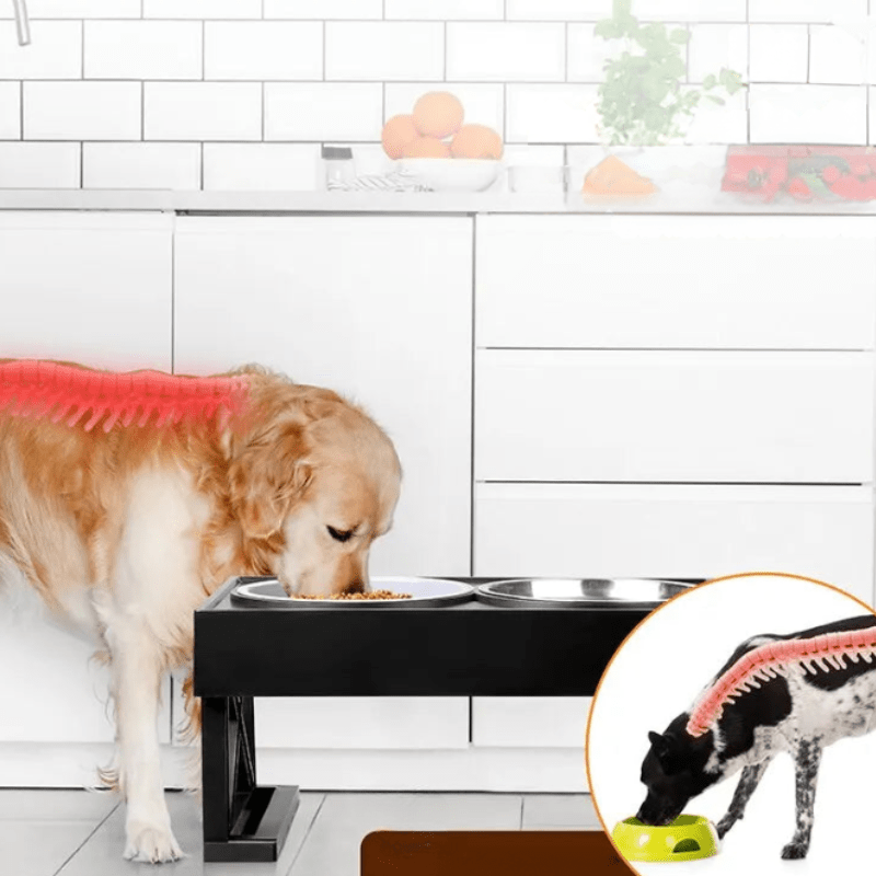 Raised Dog Bowl with Mat