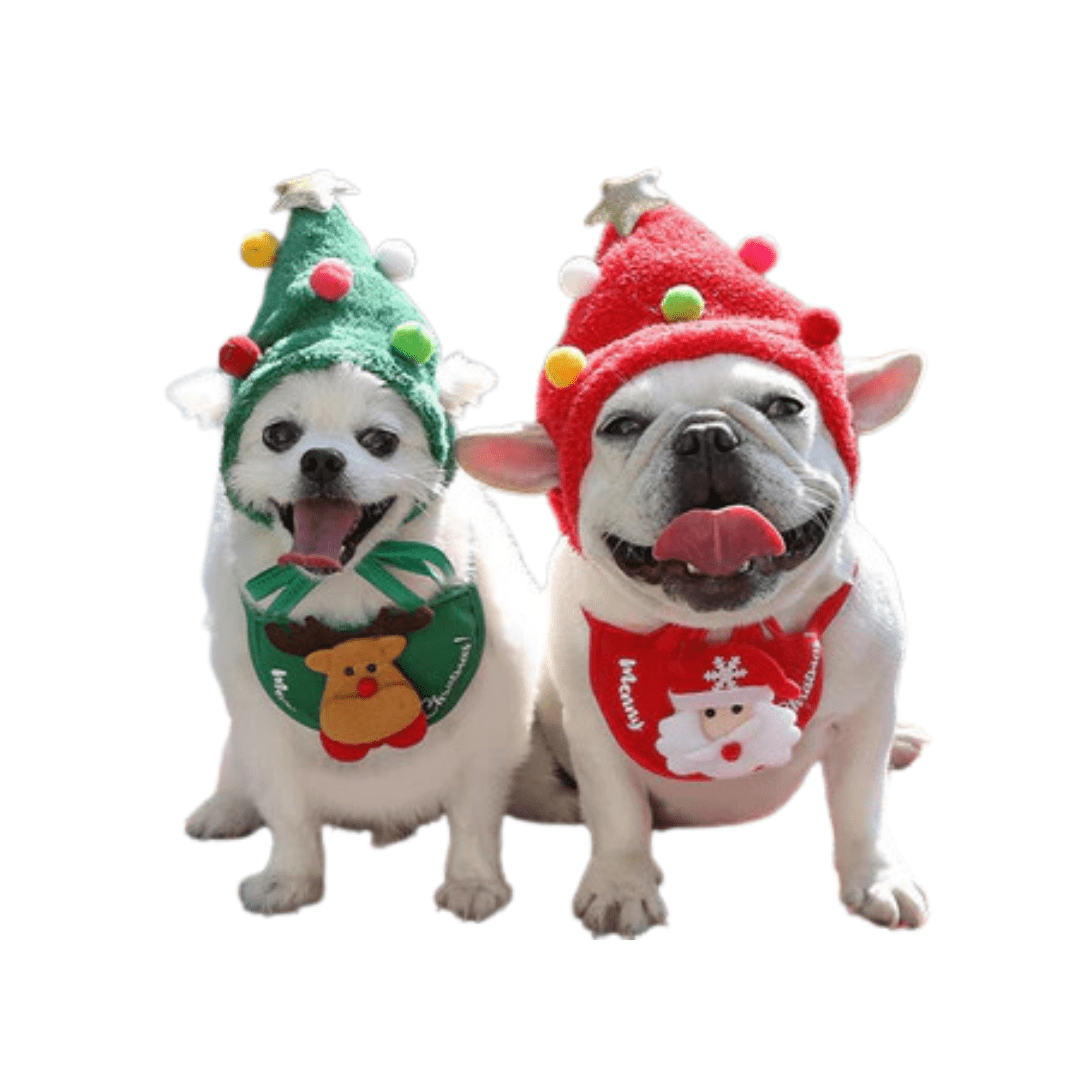 Dog Christmas Bathing Hat & Bib Set - Festive Pet Costume