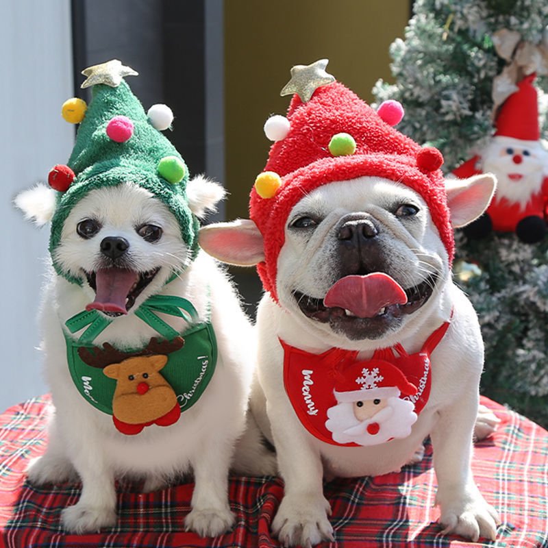 Dog Christmas Bathing Hat & Bib Set - Festive Pet Costume