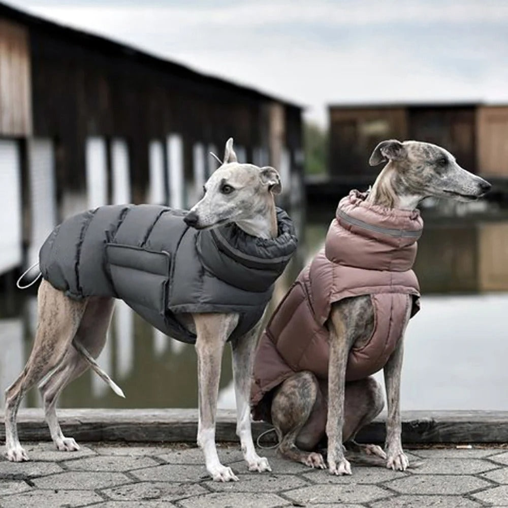 Dog Winter Water-Resistant Vest - Cozy & Adjustable Pet Coat