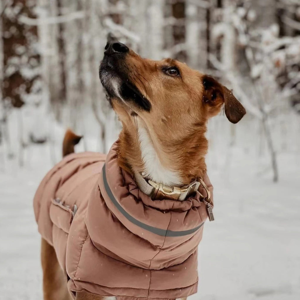 Dog Winter Water-Resistant Vest - Cozy & Adjustable Pet Coat