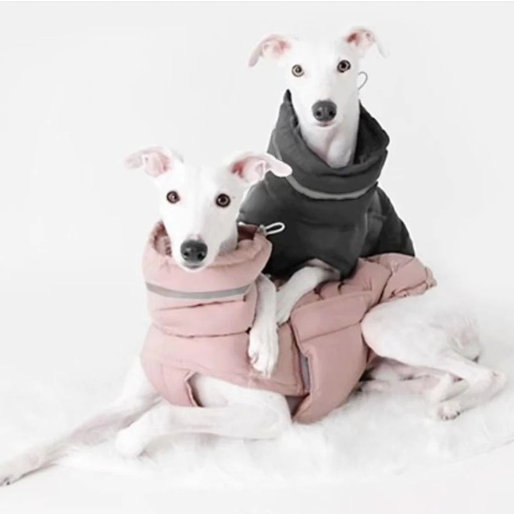 Dog Winter Water-Resistant Vest - Cozy & Adjustable Pet Coat