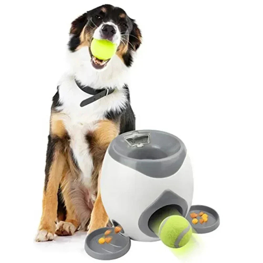 Interactive Pet Ball Launcher for Dogs