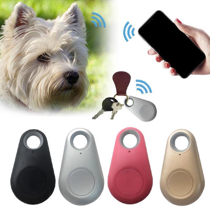 Mini Pet GPS Tracker for Real-Time Location