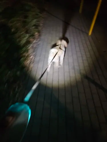 LED Safety Dog Leash for Night Walks - 5m High Visibility