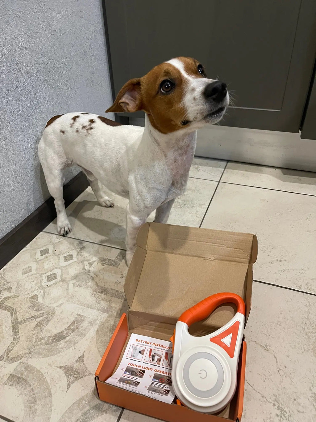 LED Safety Dog Leash for Night Walks - 5m High Visibility