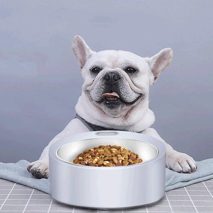 PawScale Large Capacity Dog Feeder with Smart Scale