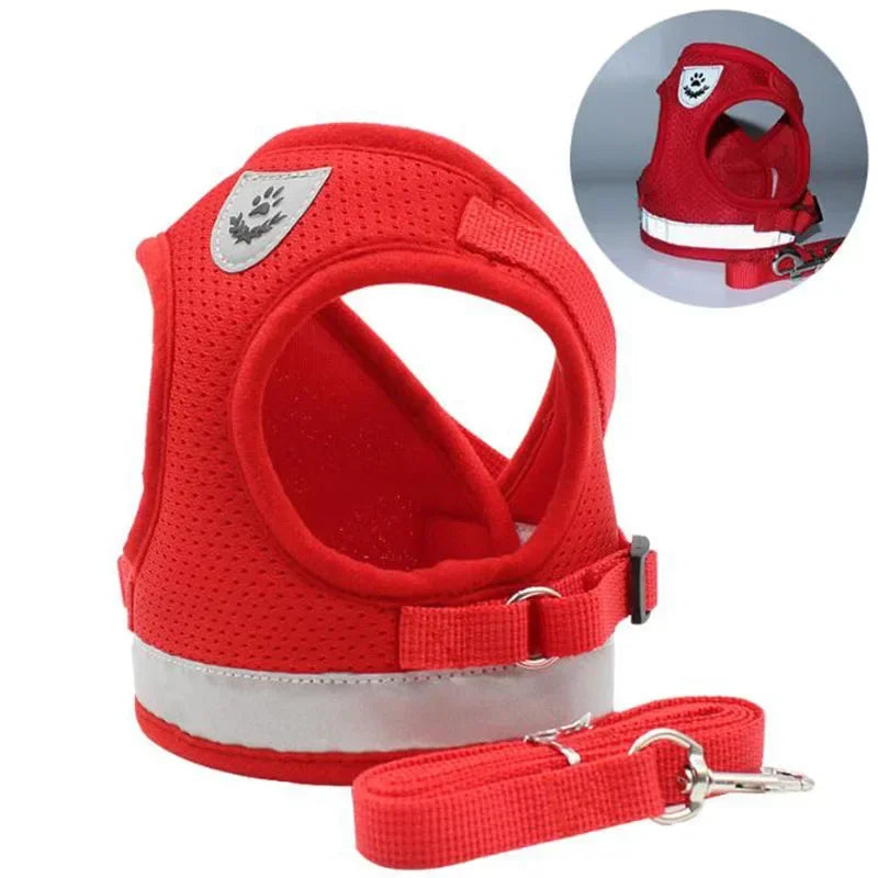 Breathable Mesh Dog Harness & Leash Combo