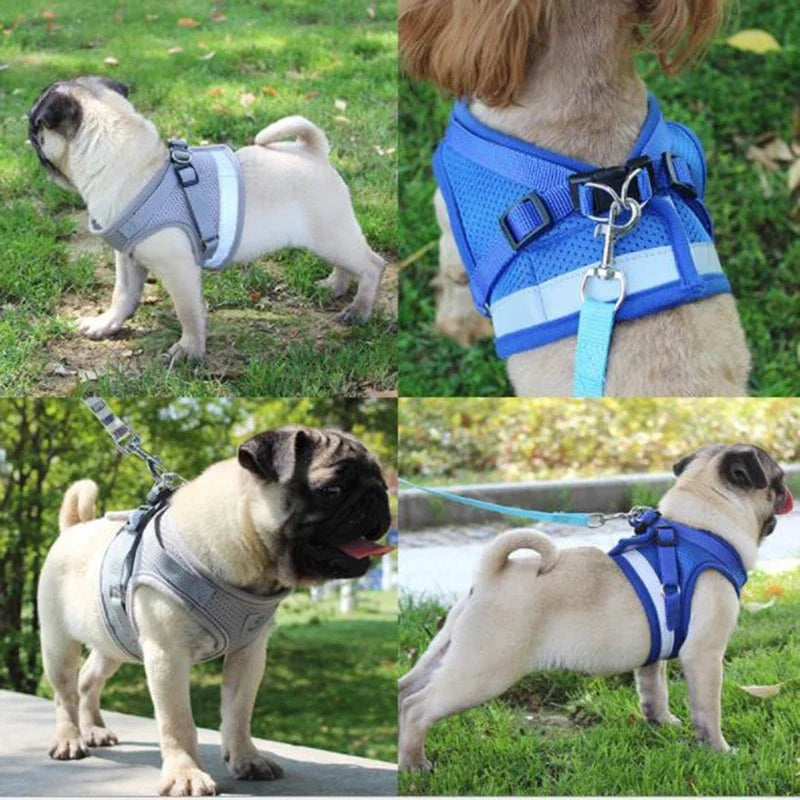 Breathable Mesh Dog Harness & Leash Combo