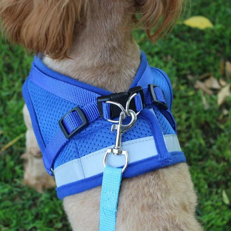 Breathable Mesh Dog Harness & Leash Combo