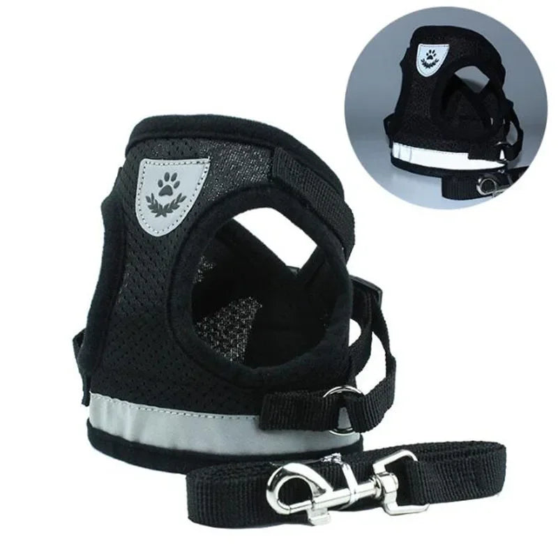 Breathable Mesh Dog Harness & Leash Combo