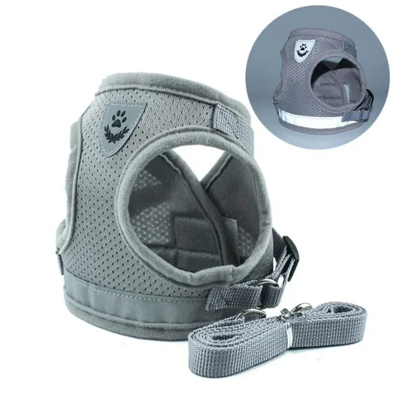 Breathable Mesh Dog Harness & Leash Combo