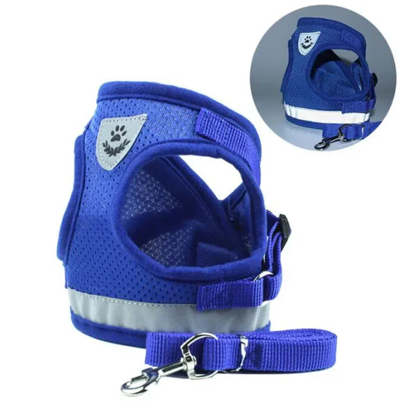Breathable Mesh Dog Harness & Leash Combo