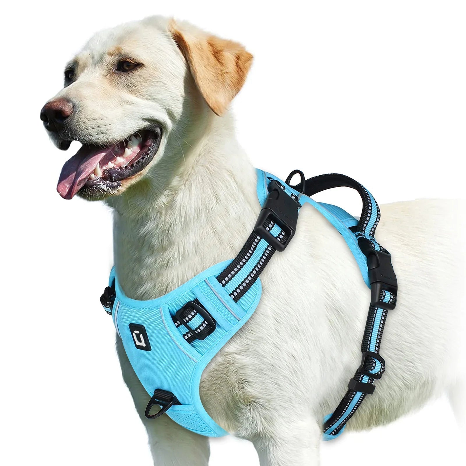 Breathable Adjustable Padded No-Pull Pet Harness