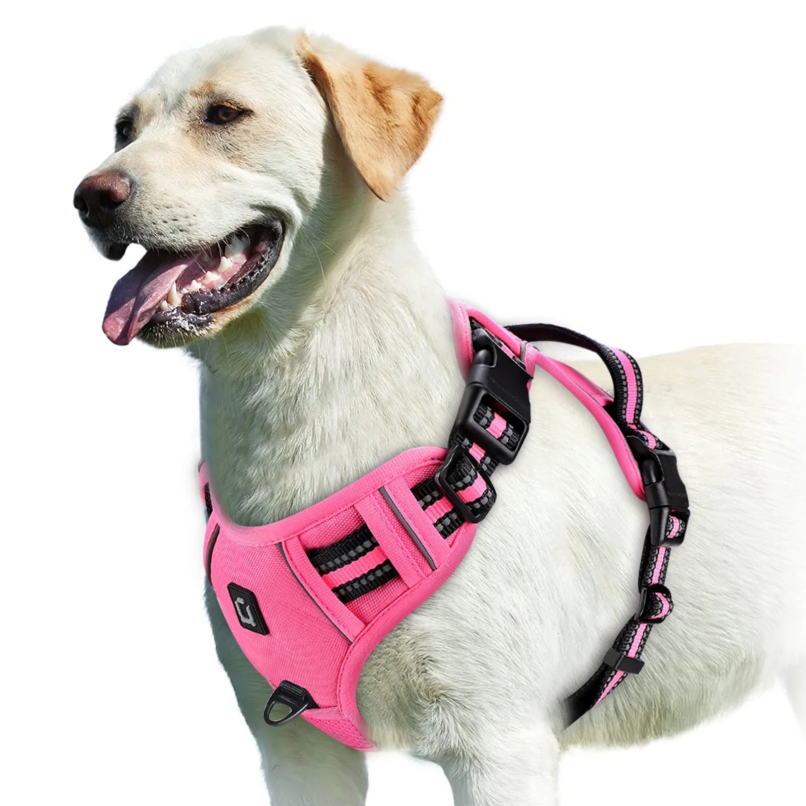 Breathable Adjustable Padded No-Pull Pet Harness
