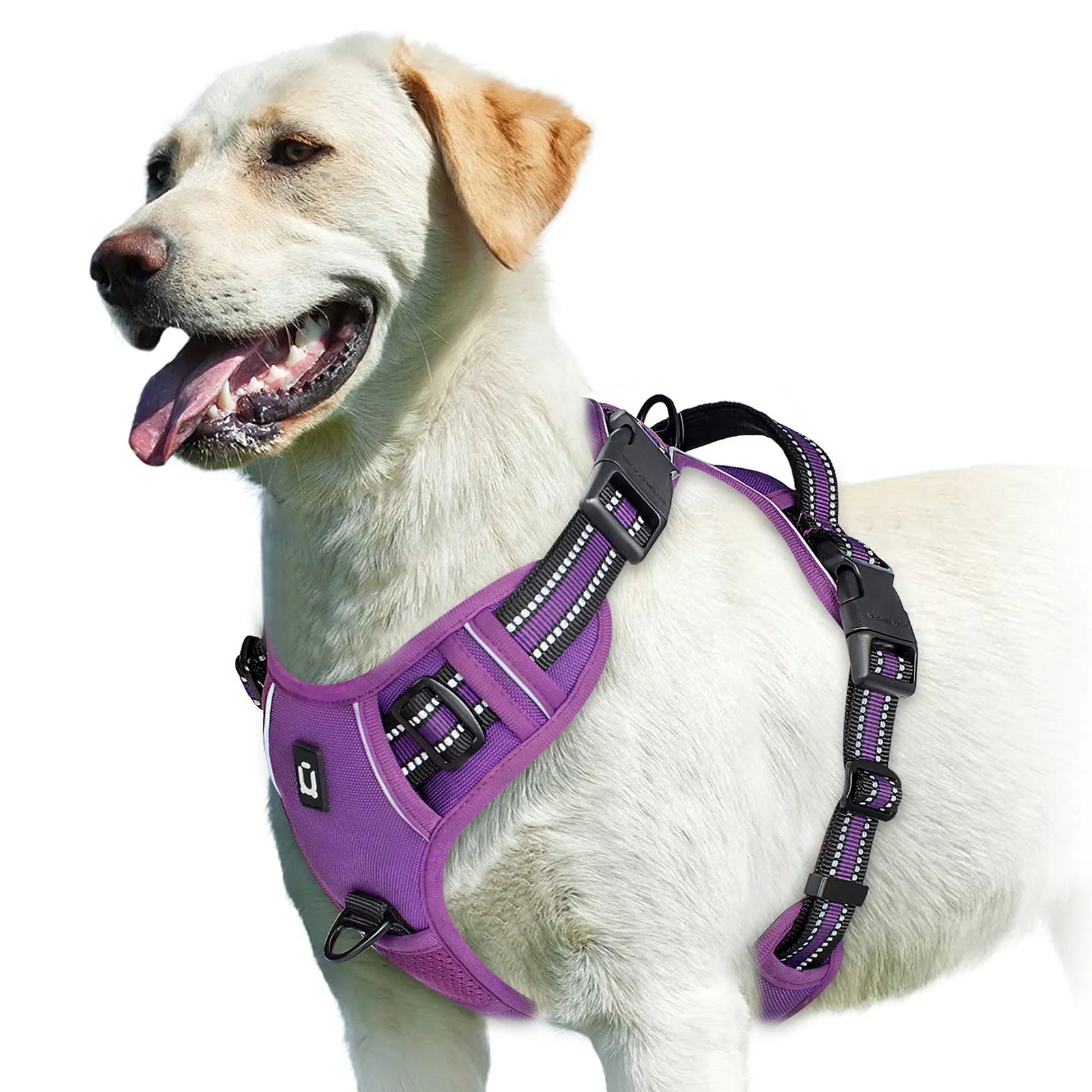 Breathable Adjustable Padded No-Pull Pet Harness