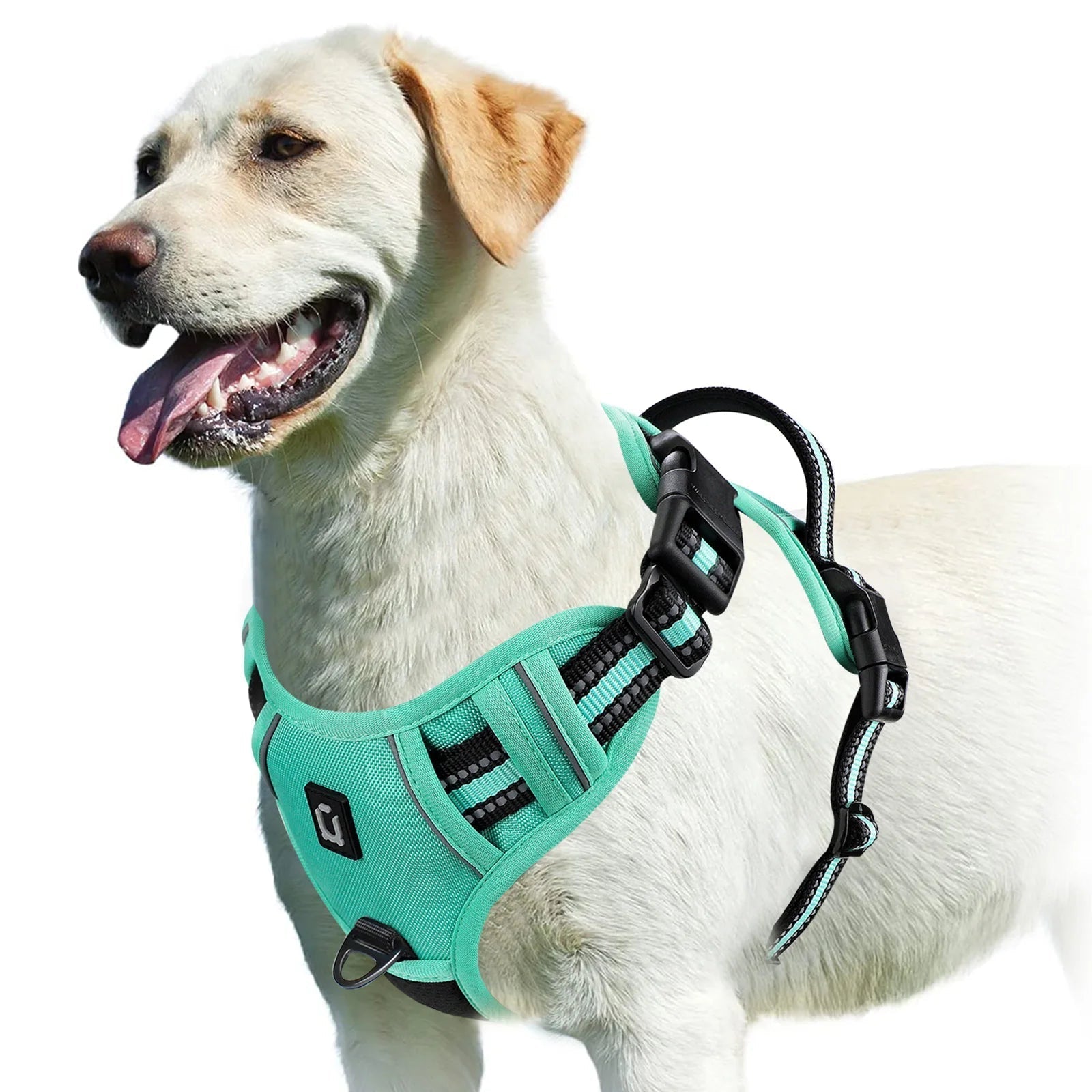 Breathable Adjustable Padded No-Pull Pet Harness