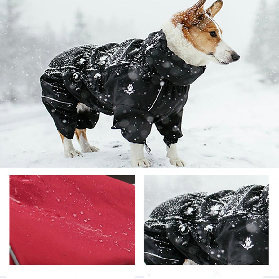 Pet Water-Resistant Outdoor Adventure Coat - Adjustable & Breathable