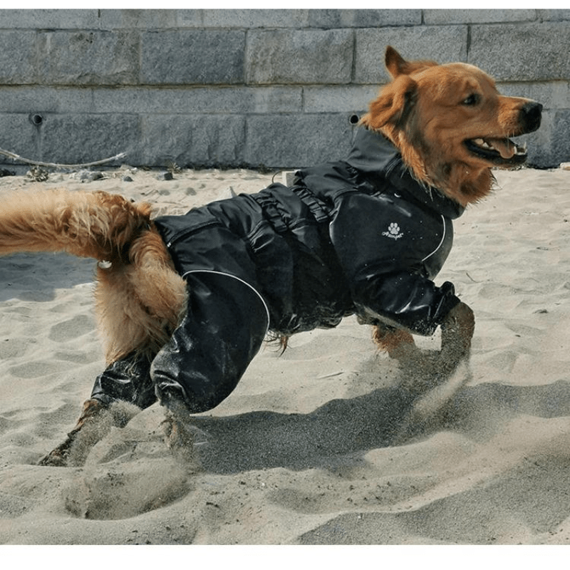 Pet Water-Resistant Outdoor Adventure Coat - Adjustable & Breathable
