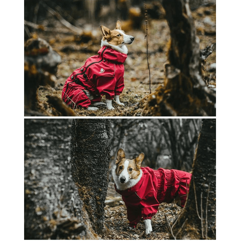 Pet Water-Resistant Outdoor Adventure Coat - Adjustable & Breathable