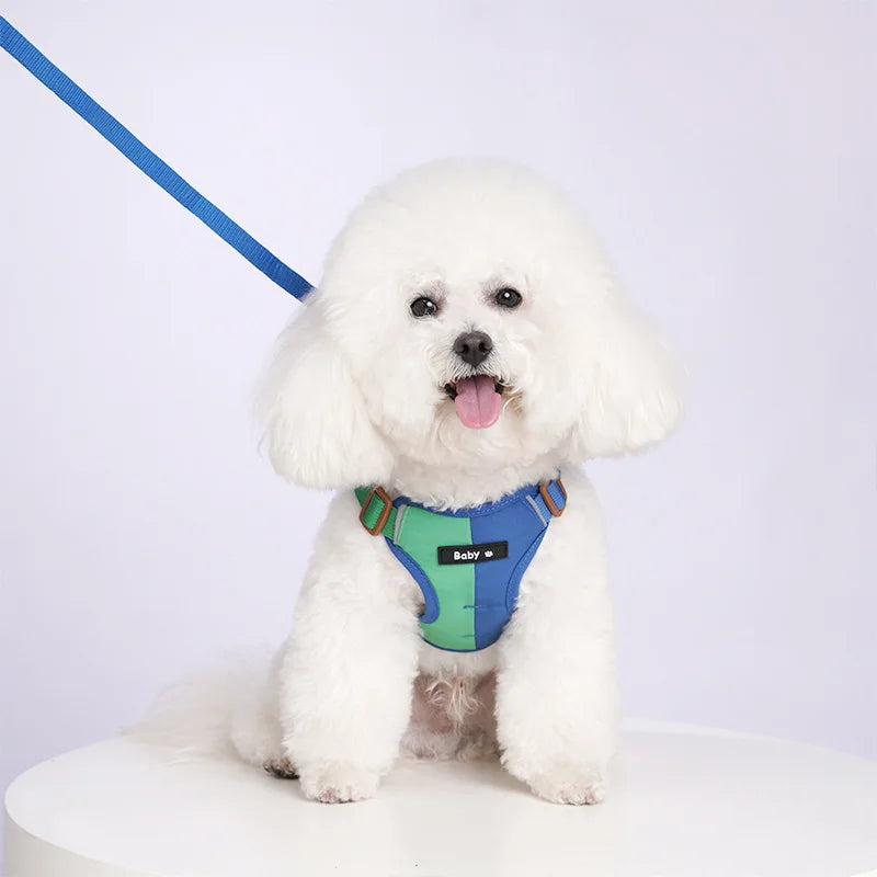 Reflective Adjustable Dog Harness and Leash Set