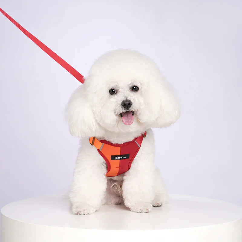 Reflective Adjustable Dog Harness and Leash Set