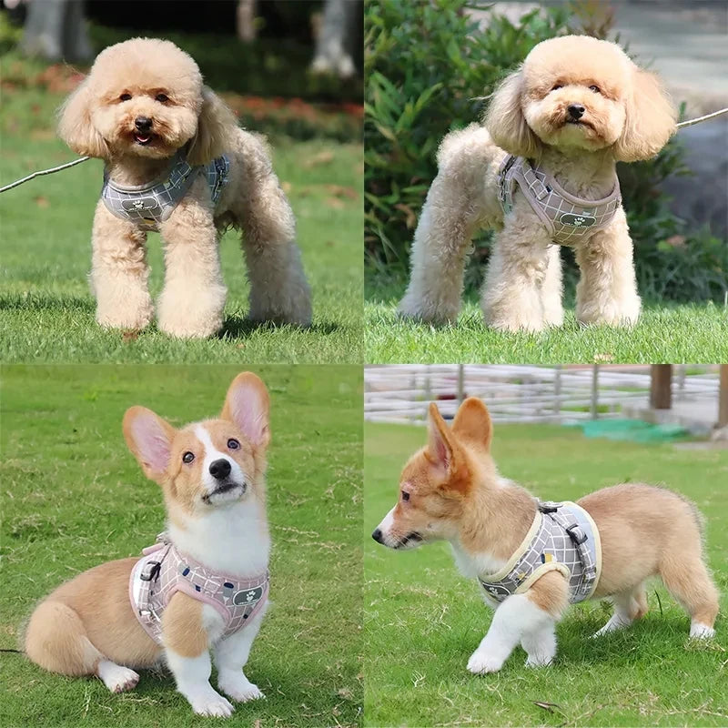 Reflective Soft Air Mesh Pet Harness & Leash Set