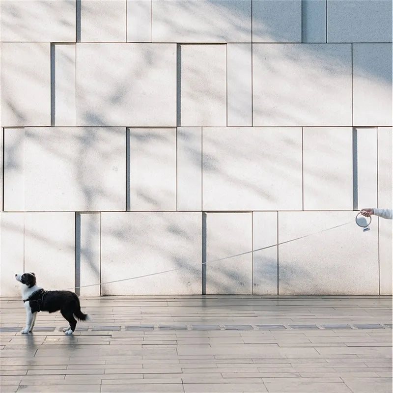 Retractable Dog Leash with Flashlight