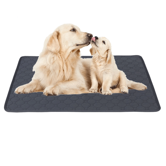 Reusable Waterproof Pet Training Pad for Dogs