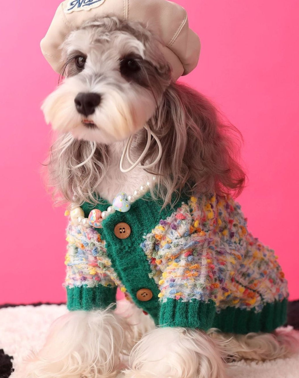 Dog's Colorful Dotted Cardigan Sweater