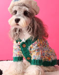 Dog's Colorful Dotted Cardigan Sweater