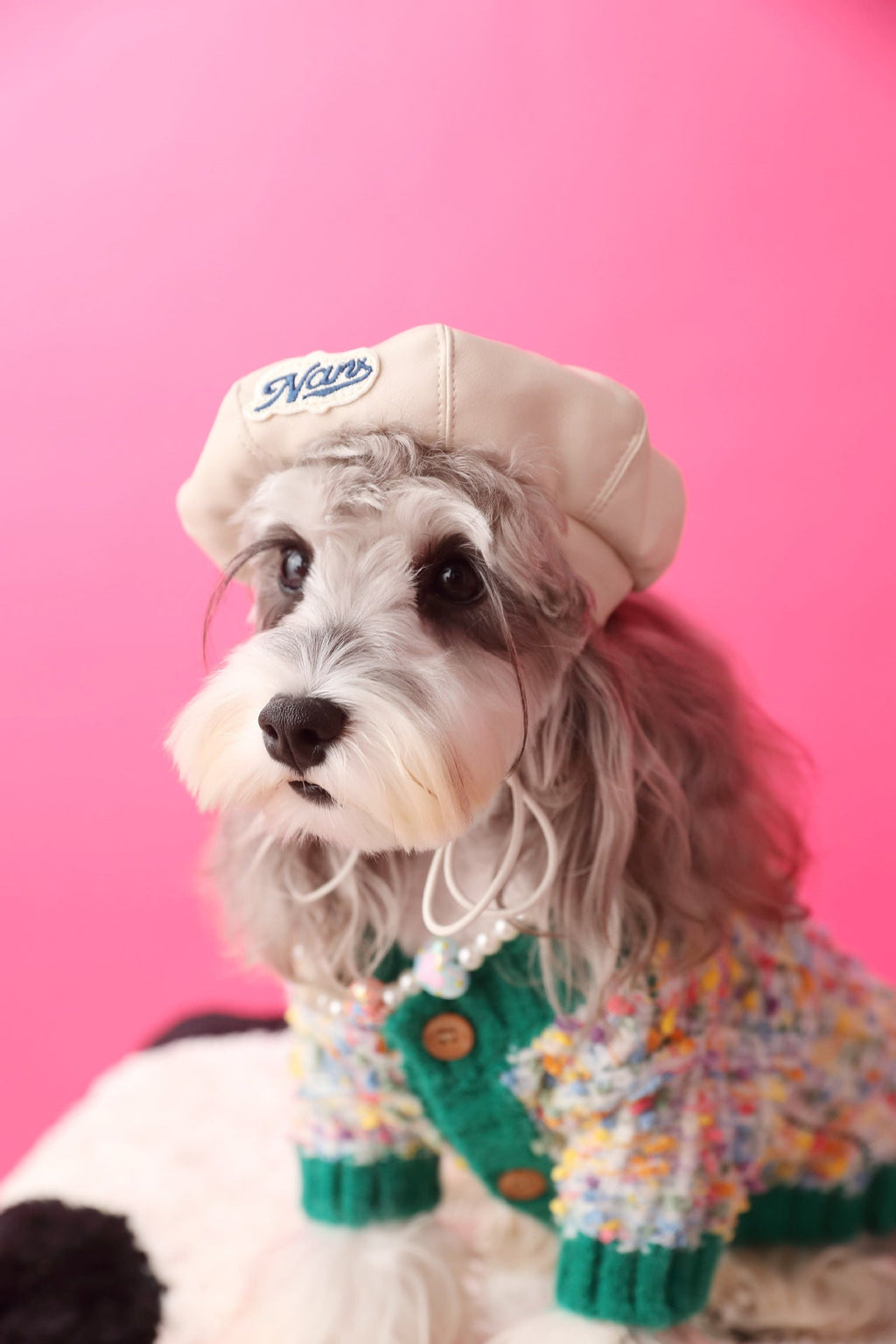 Dog's Colorful Dotted Cardigan Sweater