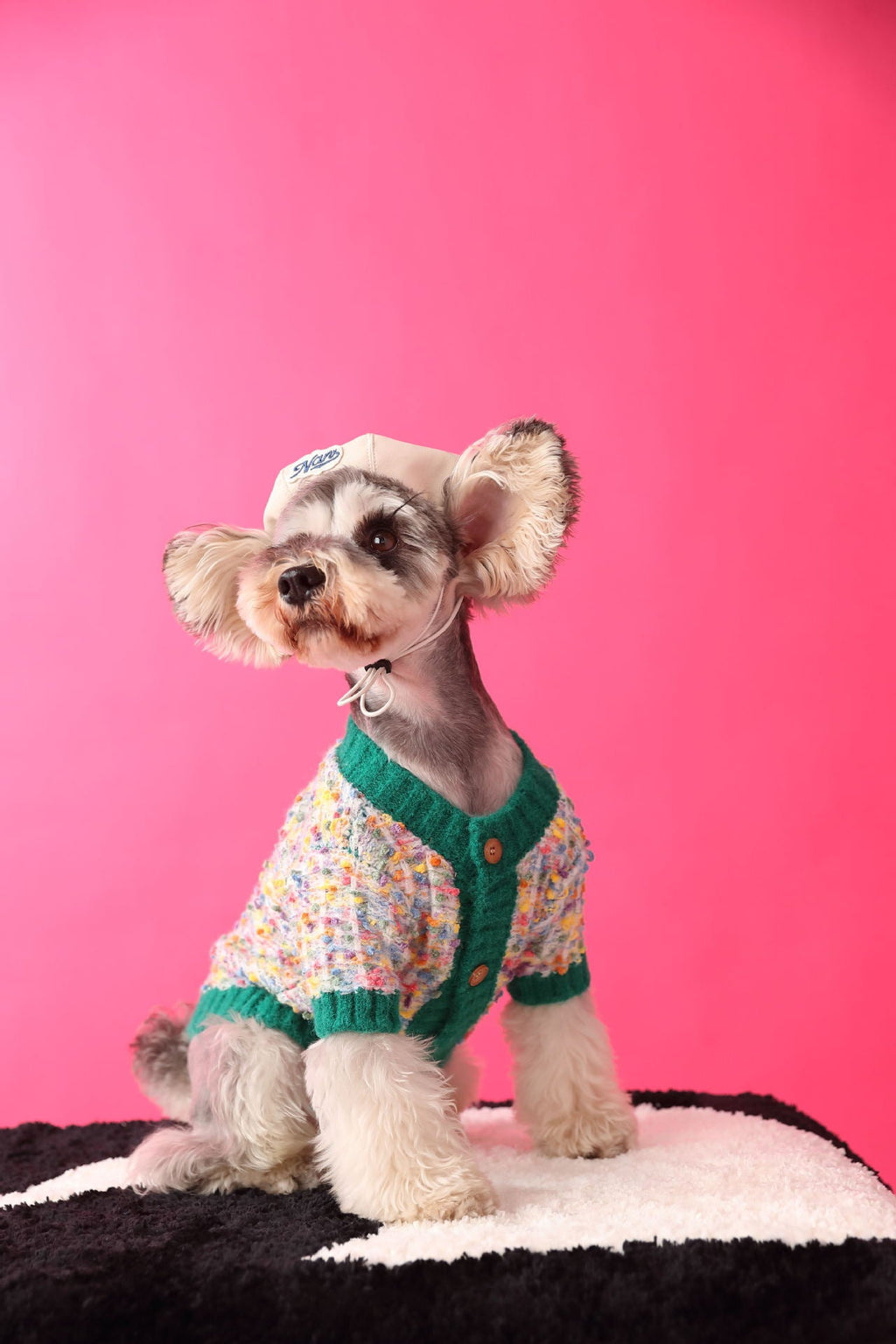 Dog's Colorful Dotted Cardigan Sweater