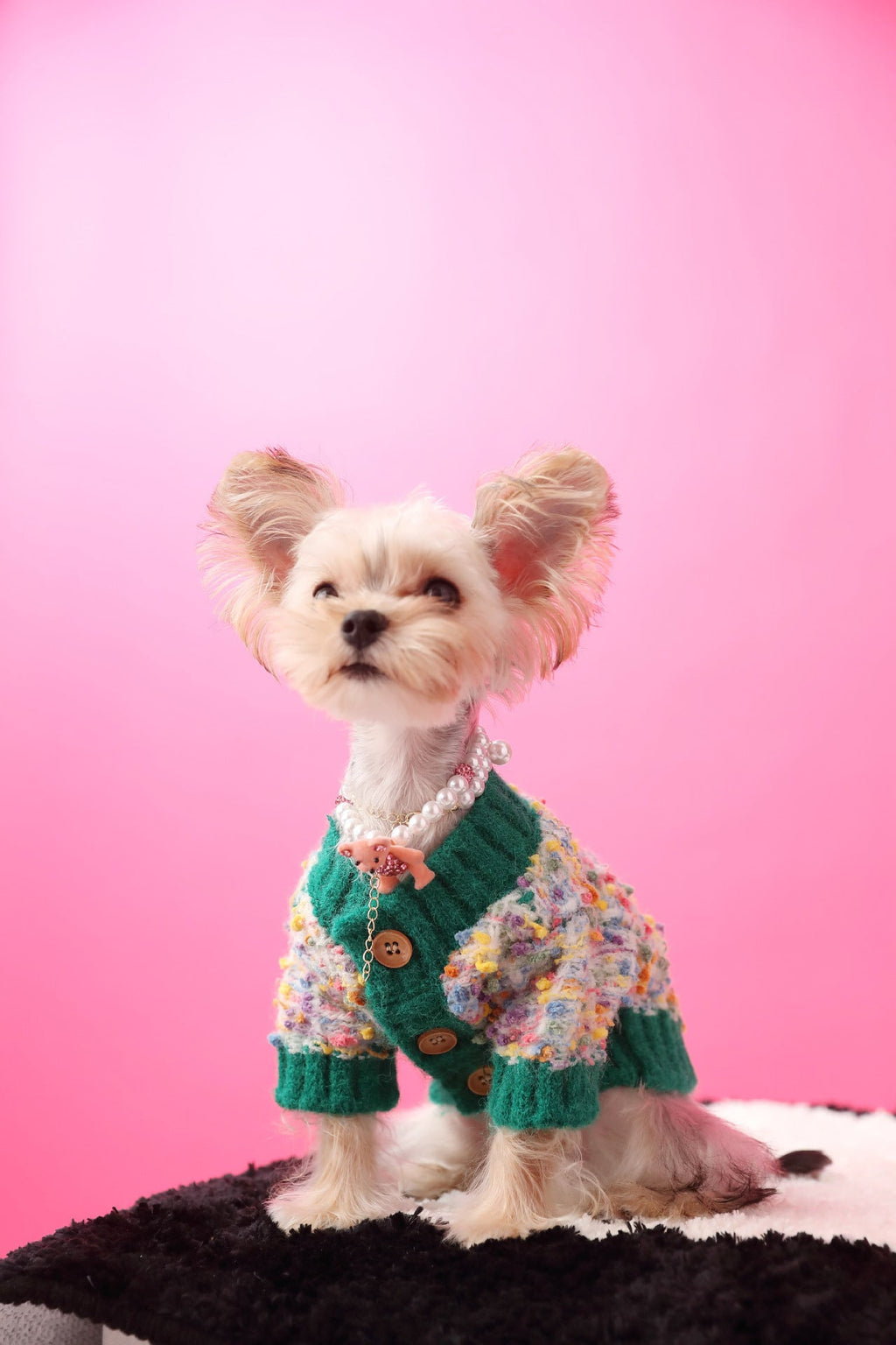 Dog's Colorful Dotted Cardigan Sweater
