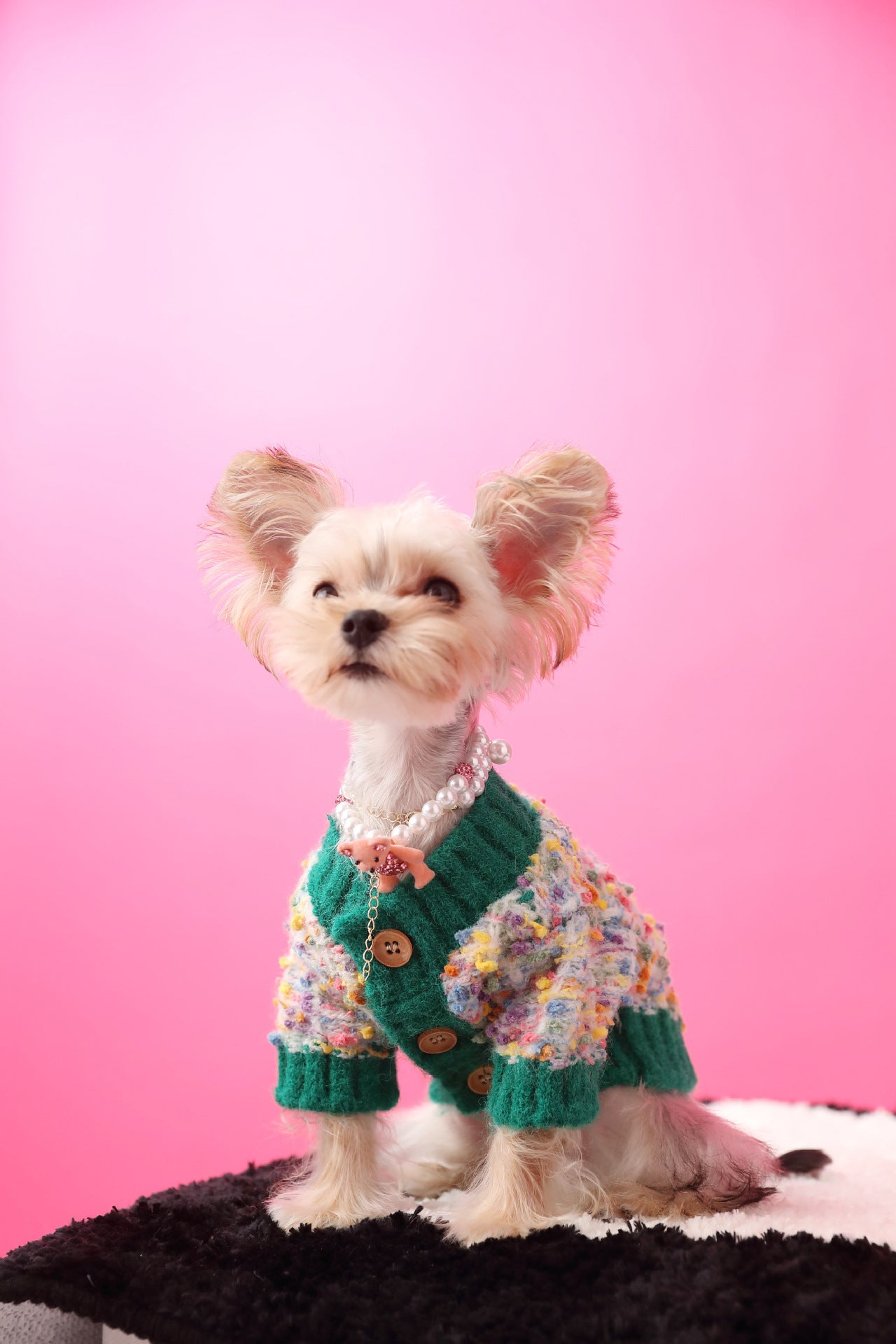 Dog's Colorful Dotted Cardigan Sweater