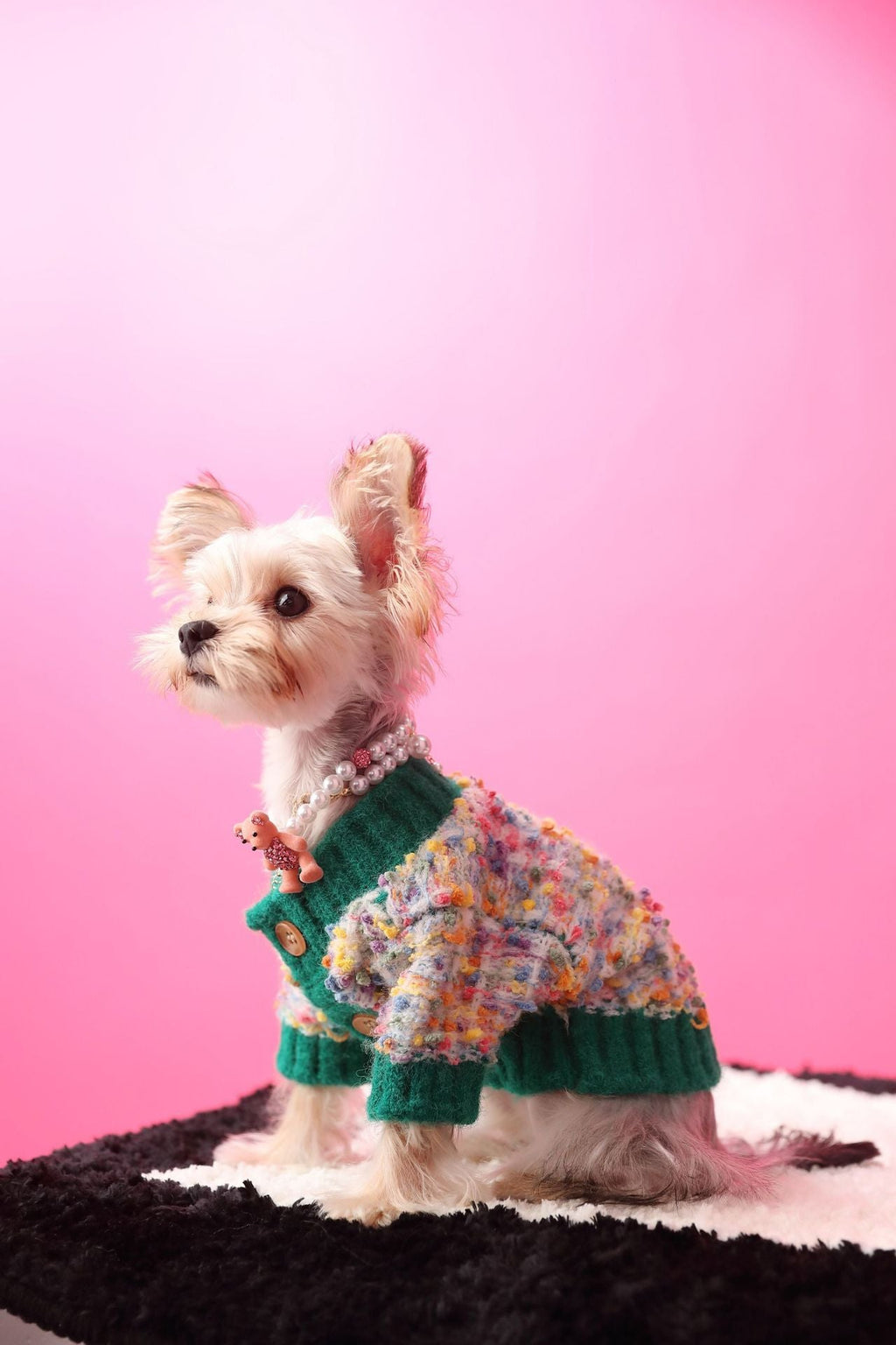 Dog's Colorful Dotted Cardigan Sweater