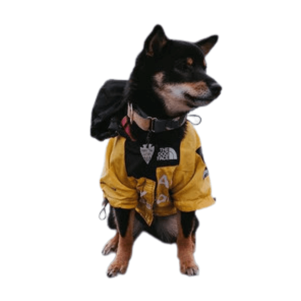 Unisex Waterproof Dog Jacket – Adjustable Fit Breathable Raincoat