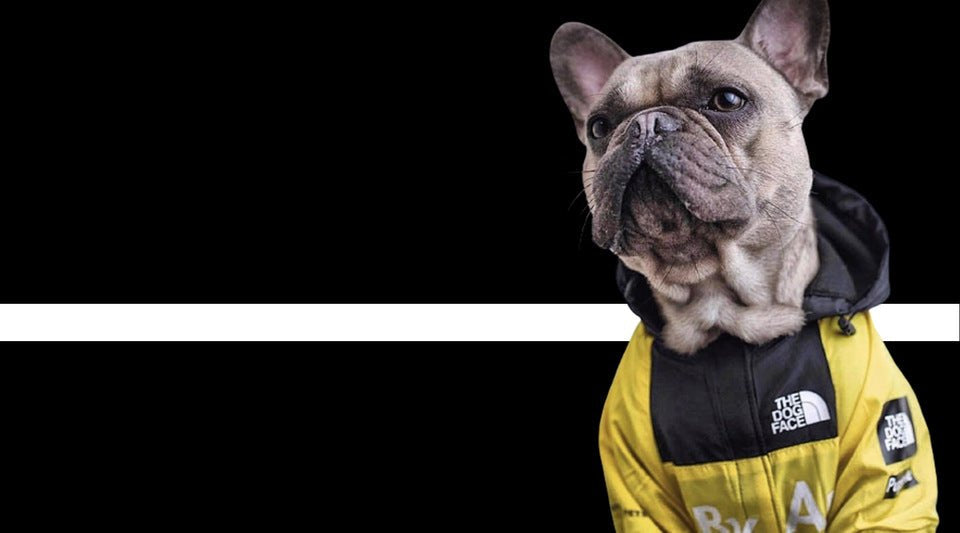 Unisex Waterproof Dog Jacket – Adjustable Fit Breathable Raincoat