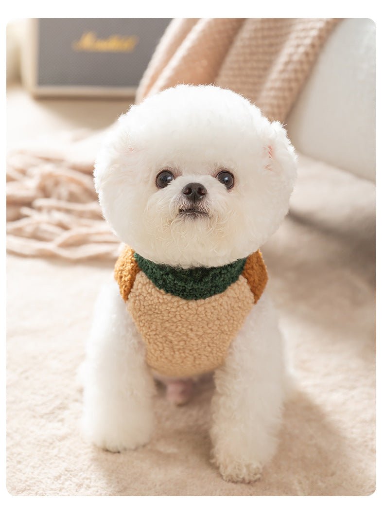 Dog Color Block Wool Blend Vest with Leash D-Ring