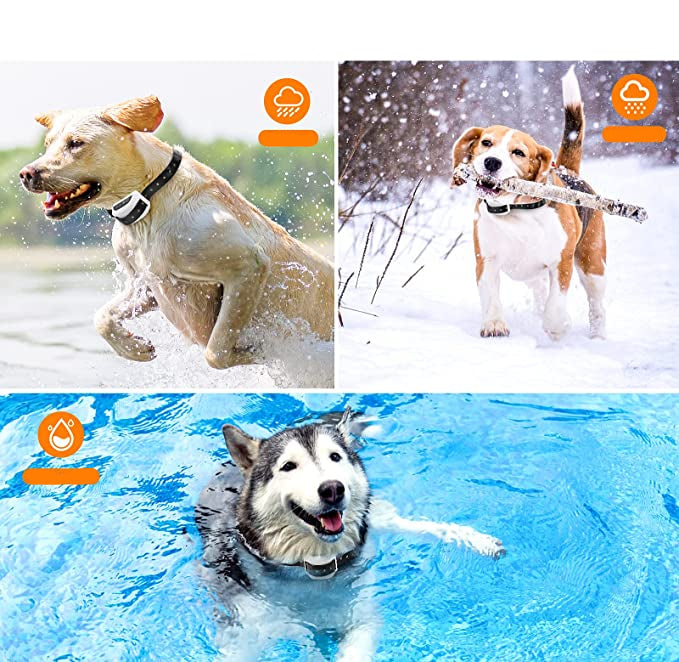 Wireless Dog Fence System with Adjustable Collar