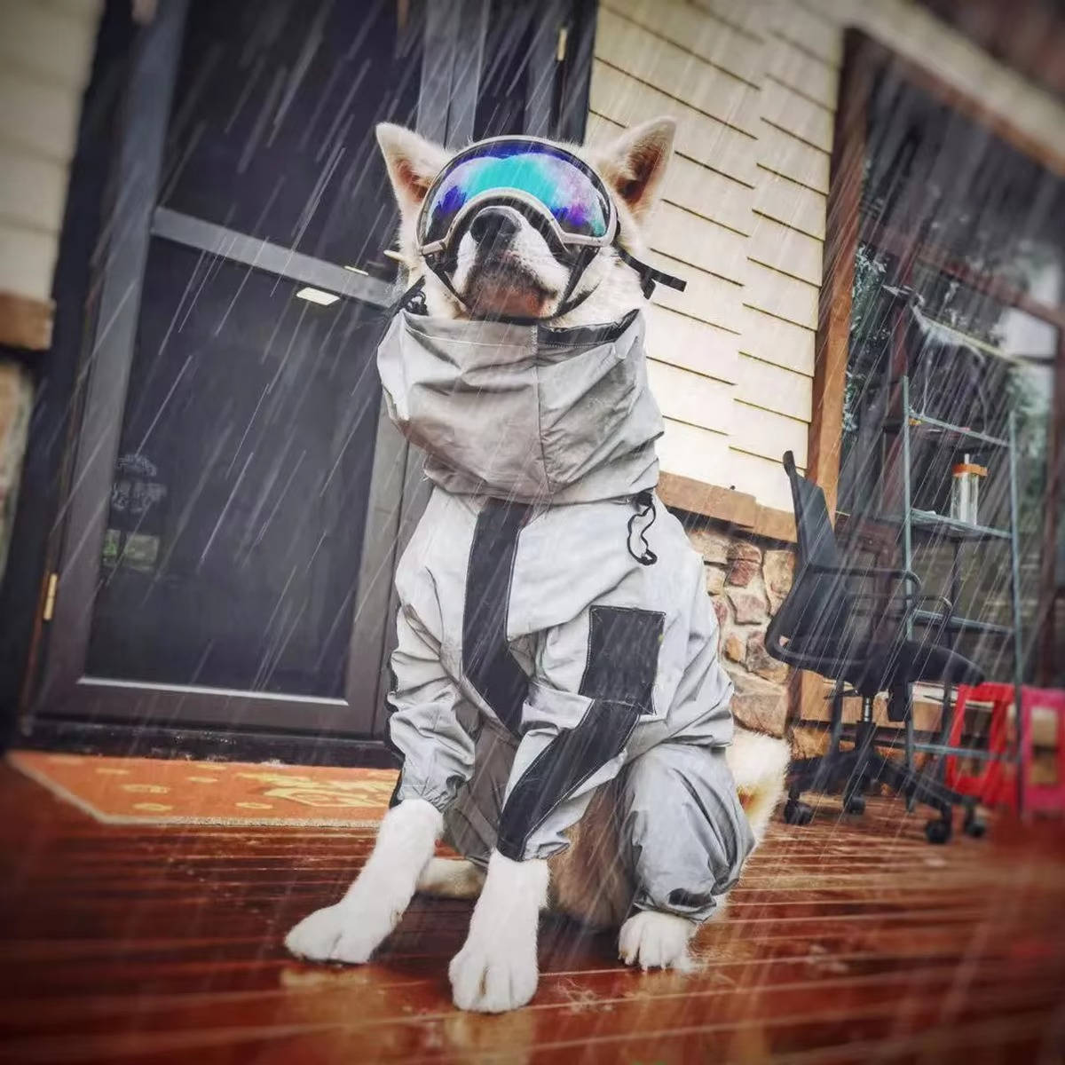 Dog Raincoat with Adjustable Hood & Reflective Strips
